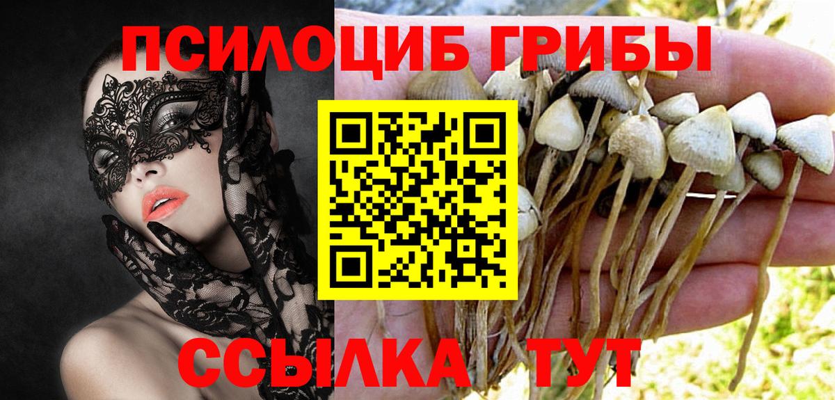 Псилоцибиновые грибы Magic Shrooms Миасс